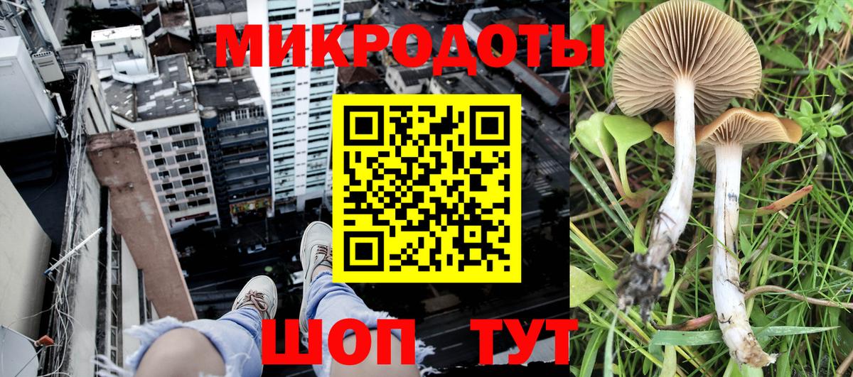 Галлюциногенные грибы MAGIC MUSHROOMS Арзамас