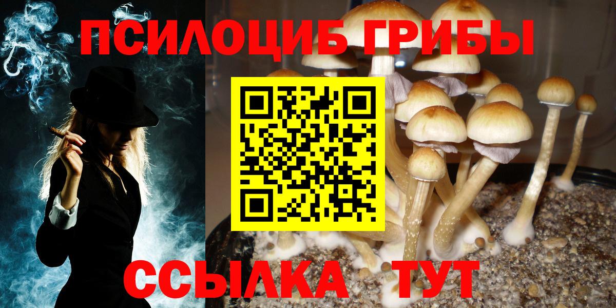 Псилоцибиновые грибы Magic Shrooms  Вход с VPN  Галлюциногенные грибы Magic Shrooms  Арзамас 